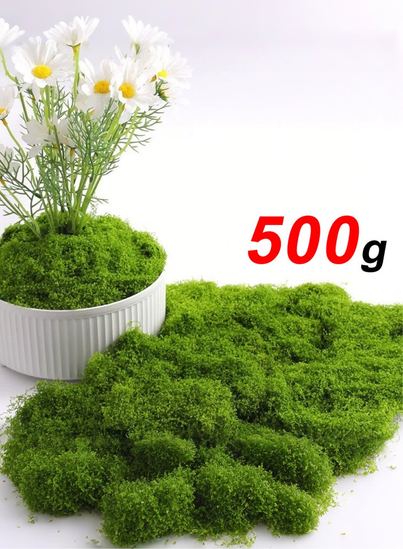 تيلانبو عشب الطحلب 500 جرام يحاكي تمامًا الطحالب الصناعية، العشب الأخضر المزيف للقطع المركزية لديكور حديقة المطبخ المنزلي، طحلب الغابة المحفوظ - Image 1